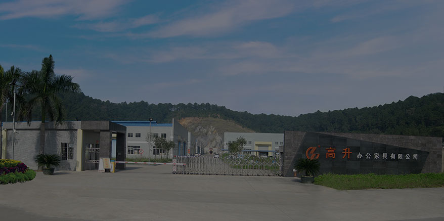 Company Profile